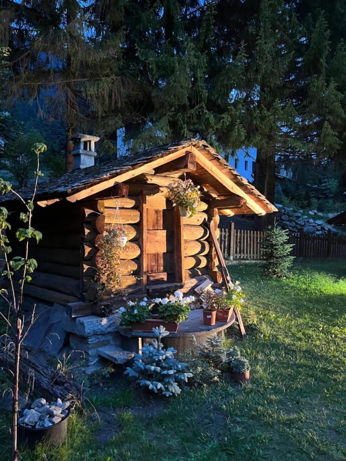 Chalet Blanc "Coeur Sapin" Courmayeur Ngoại thất bức ảnh