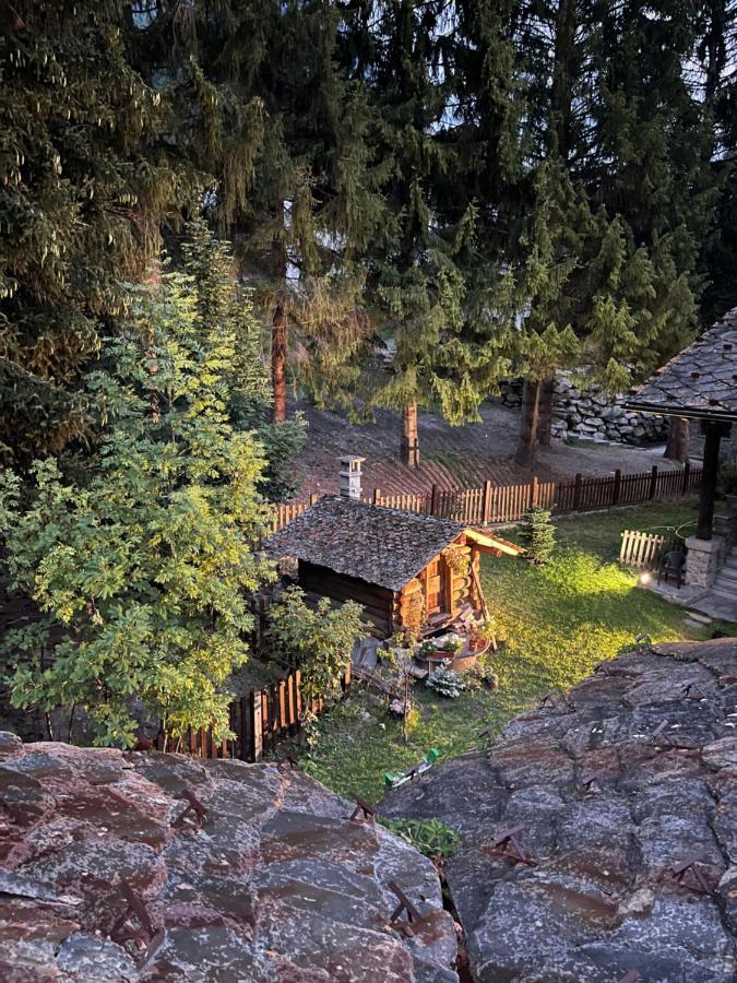 Chalet Blanc "Coeur Sapin" Courmayeur Ngoại thất bức ảnh